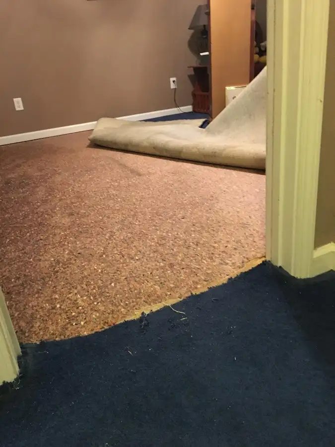 Carpet pad removal revealing water damage during Water Mitigation Services in Olympia Heights