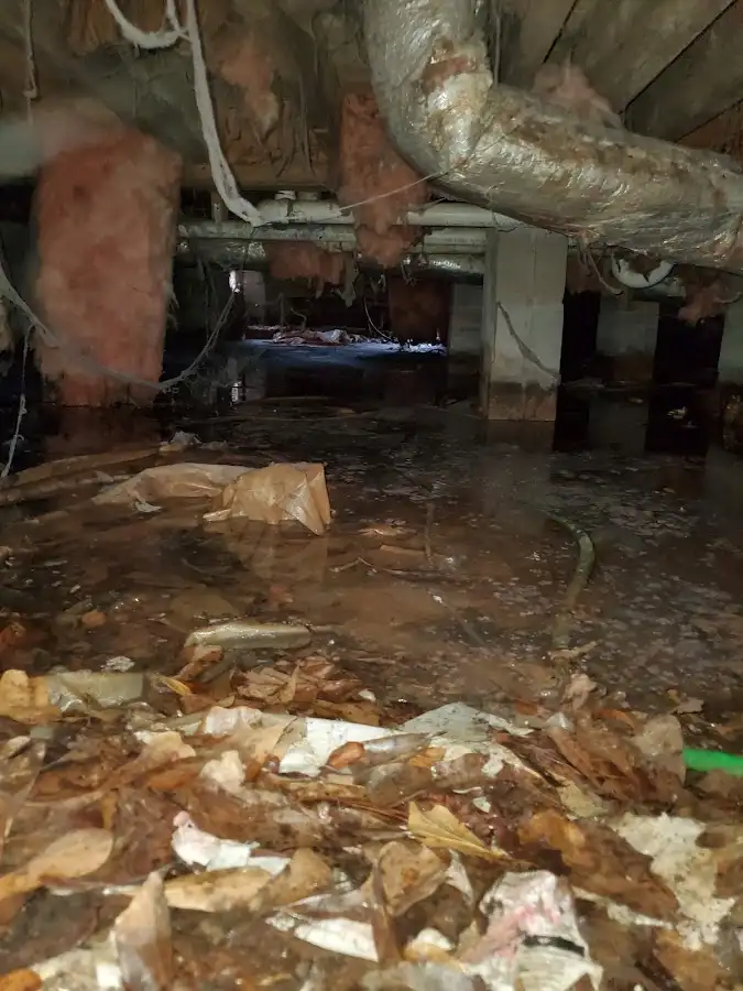 Crawl space flood assessment for Commercial Water Damage Restoration in Olympia Heights