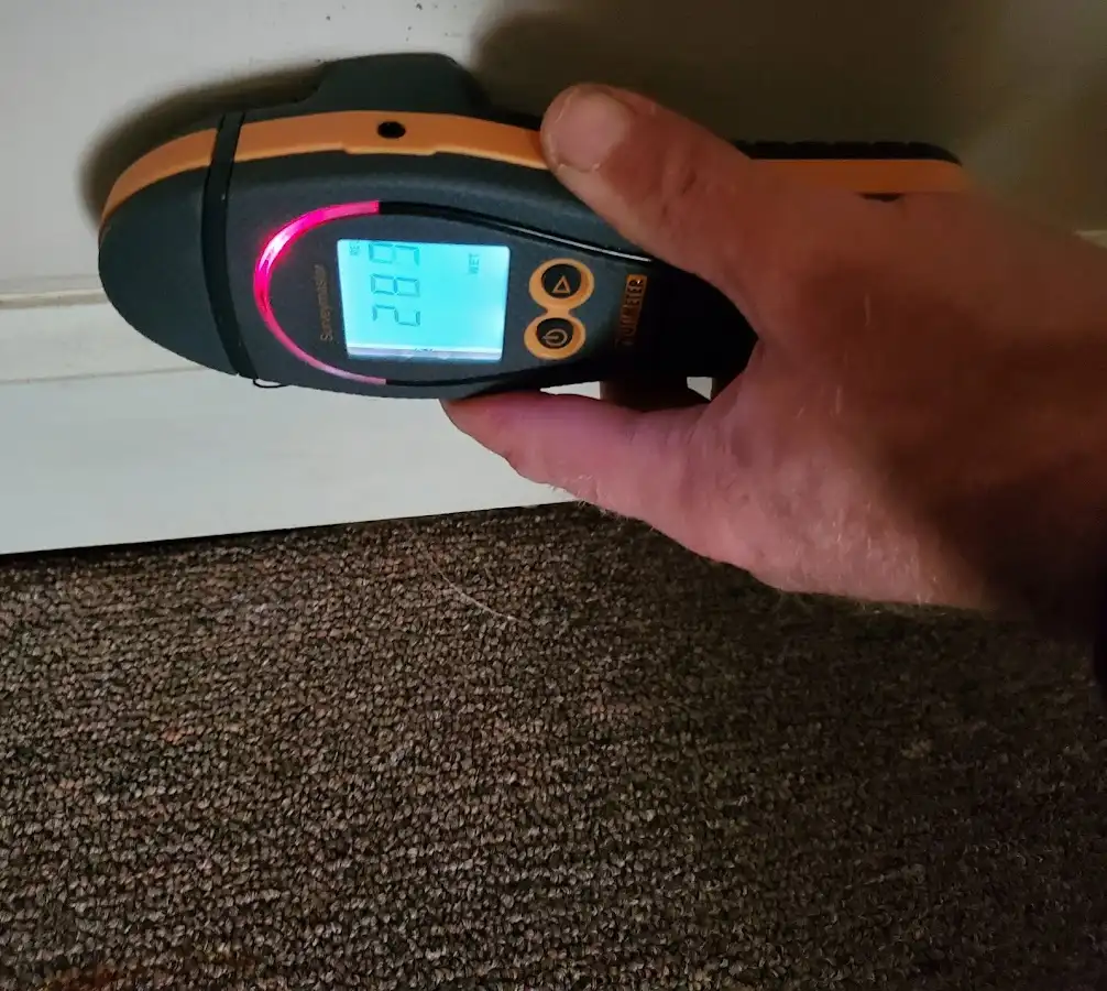 Moisture detection at baseboard during Burst Pipe Cleanup in Olympia Heights